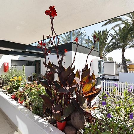 Maspalomas Beach Apartment Charca 1 Esterno foto
